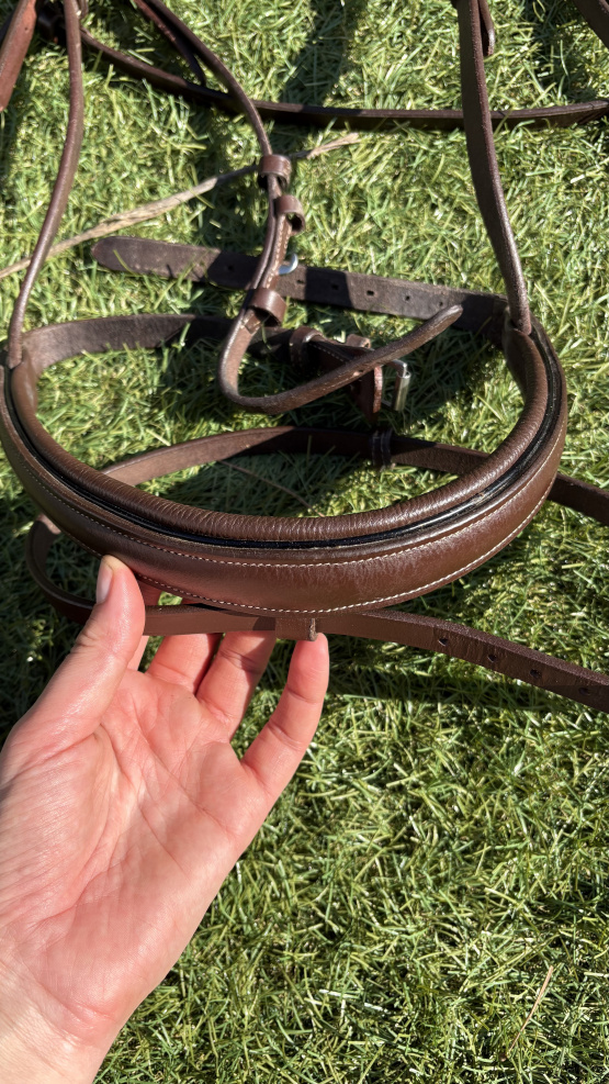 Bridon Norton cuir hanava (cheval) occasion