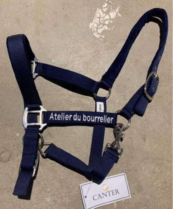 Licol Canter bleu (poney) neuf occasion