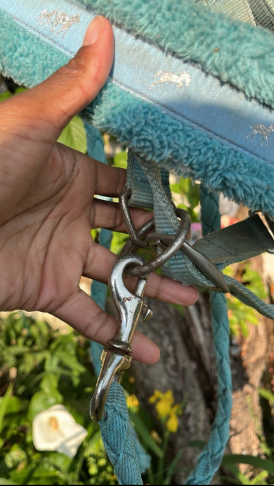 Licol turquoise (double poney) occasion