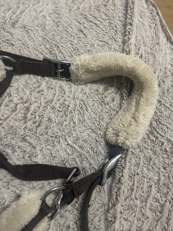 Licol Norton (cheval) occasion