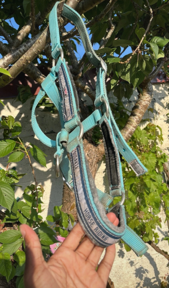 Licol Fouganza turquoise (cheval) occasion