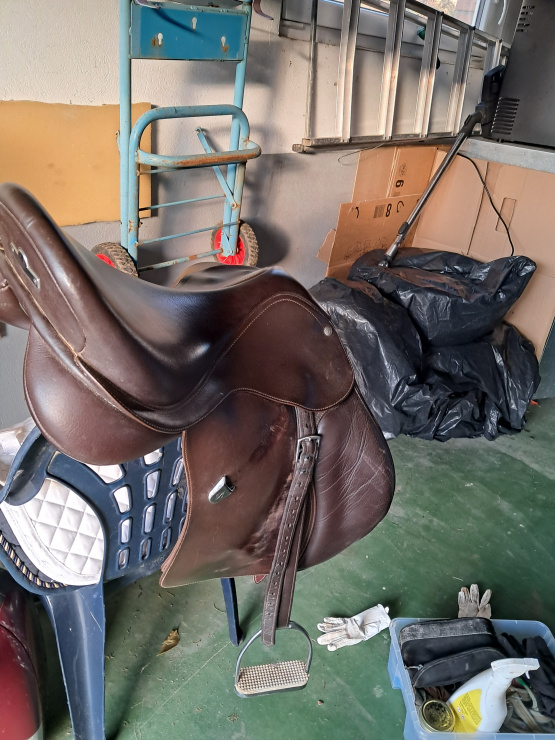 Selle mixte Bates 17.5 pouces (2016) occasion