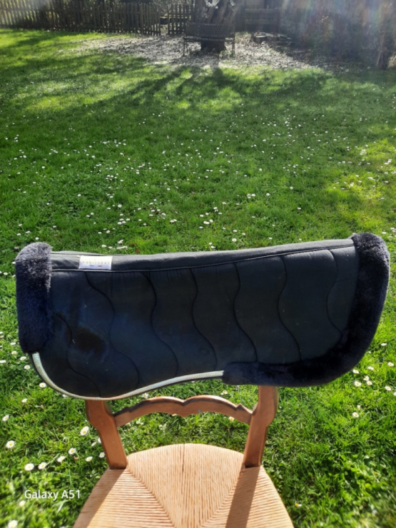Amortisseur équitation Equithème infinity noir (cheval) occasion