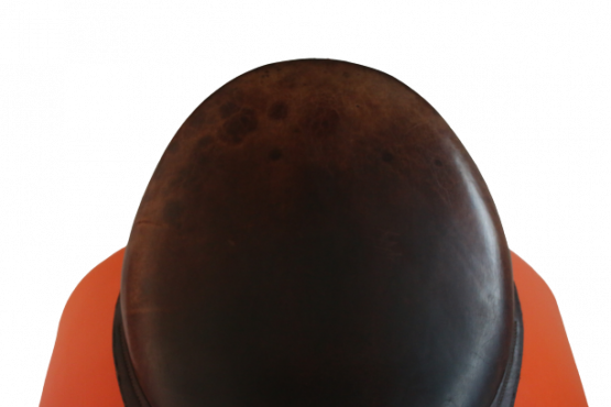 Selle Aulion dressage (1999) occasion