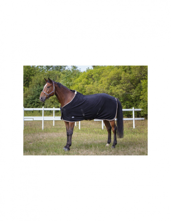 Licol Equithème Polyfun noir (cheval) neuf occasion