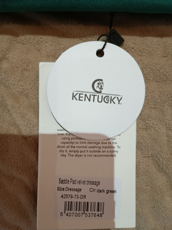 Tapis Kentucky occasion