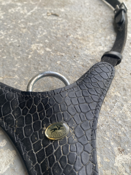 Collier de chasse et martingale Schockemohle occasion