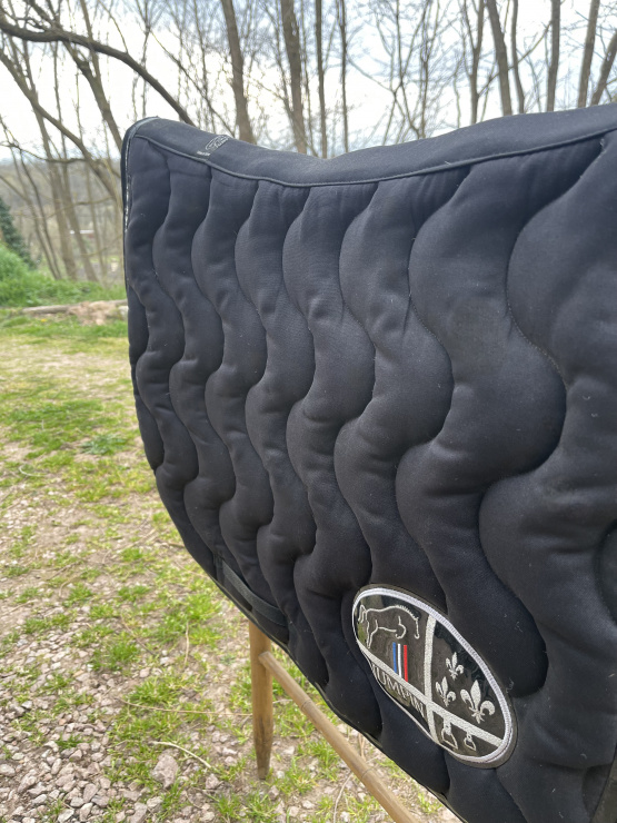 Tapis de selle Jump’in noir (cheval) occasion