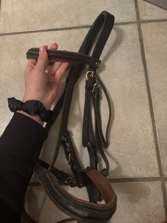 Filet Eric Thomas marron & noir (cheval) occasion