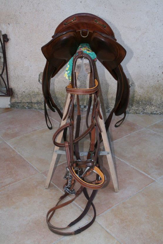 Selle Forestier Trec occasion