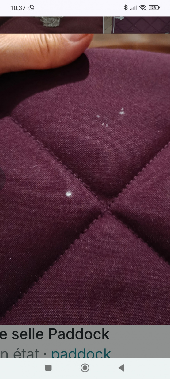 Tapis de selle Paddock sport bordeaux (poney) occasion