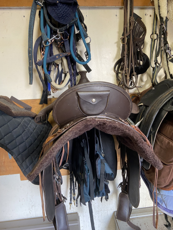 Selle Westride (2023) occasion