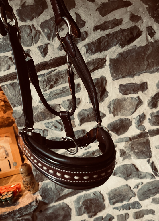 licol Pénélope Leprevost cuir (cob / pur sang) occasion