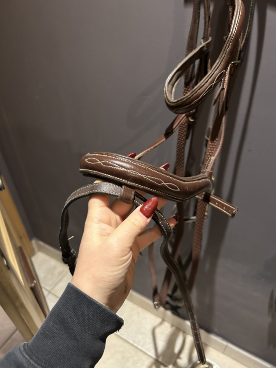 Filet Fouganza (cheval) occasion