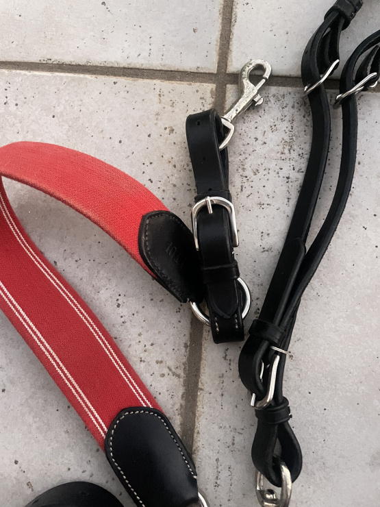 collier de chasse et  martingale occasion
