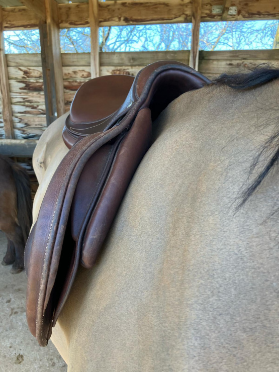Selle Antares Signature édition limitée 17 occasion