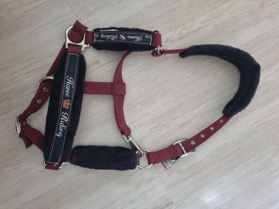 Licol Fouganza bordeaux (poney) occasion