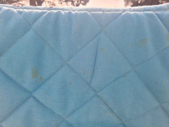 Tapis Equithème bleu occasion