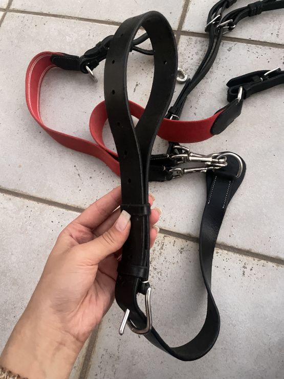 collier de chasse et  martingale occasion