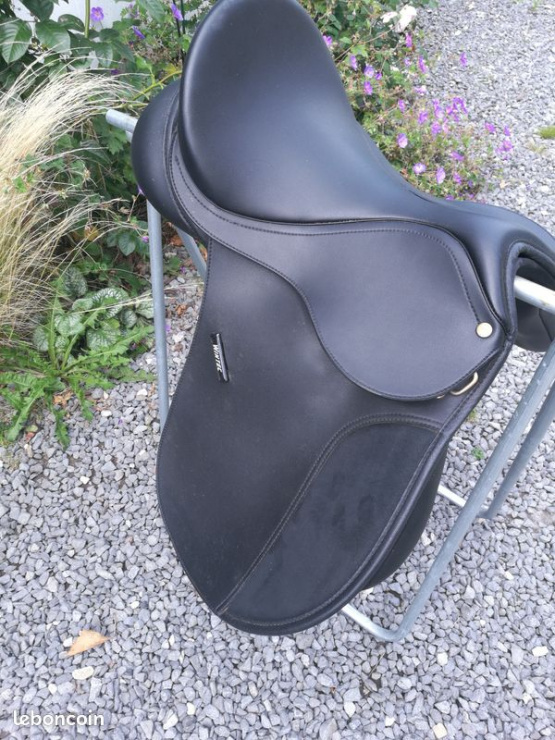 Selle Wintec 250 (2018) occasion