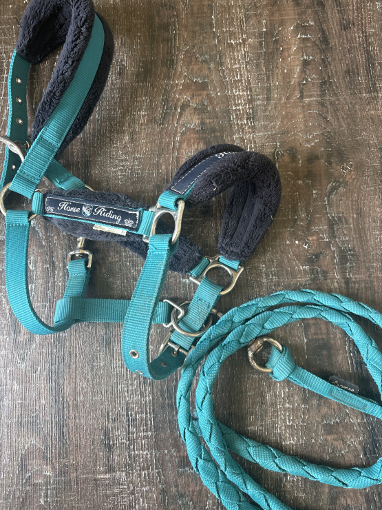 Licol Fouganza moumoute avec longe (poney) occasion