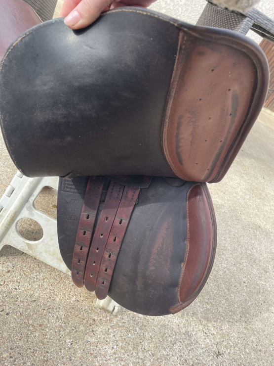 Selle mixte Henri de Rivel 15,5 pouces occasion