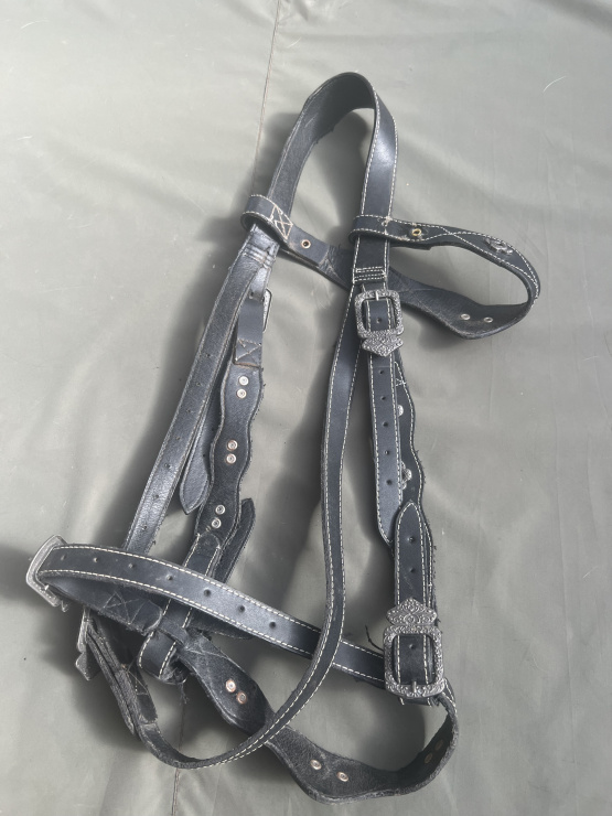 Filet bride noir ornement bagues argentées (cheval) occasion