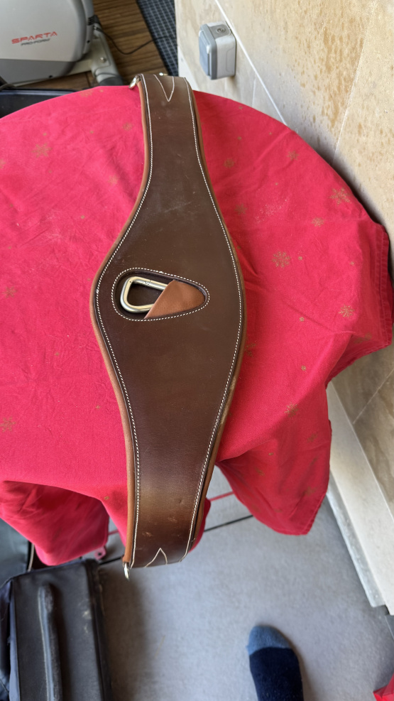 Selle mixte Eric Thomas 17,5 pouces (2023) occasion