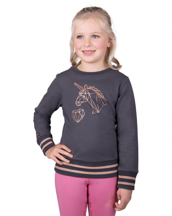Sweat QHP didy gris (6 ans) neuf occasion