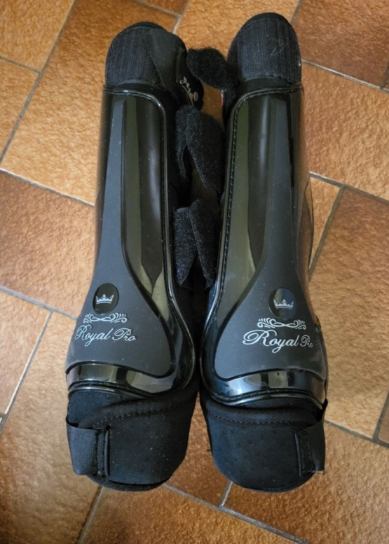 Guêtres de dressage Gera Royal Pro (cheval) occasion