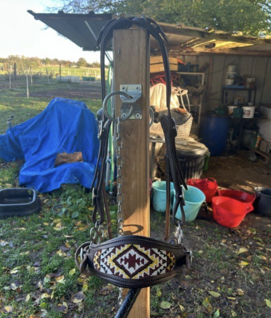 Hackamore Edix Saddles (cheval) neuf occasion Hackamore Edix Saddles (cheval) neuf occasion