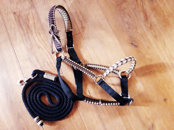 Licol et longe marron & noir (cheval) neuf occasion Licol et longe marron & noir (cheval) neuf occasion