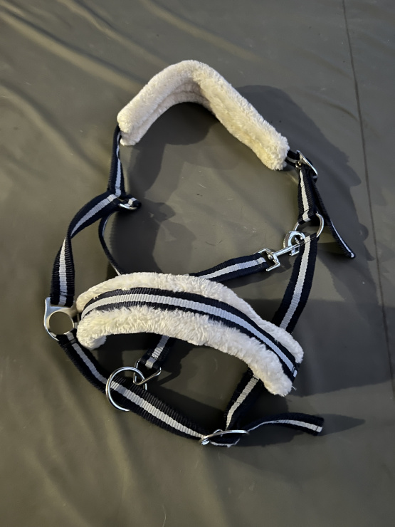 Licol moumoute mouton bleu (Full) occasion