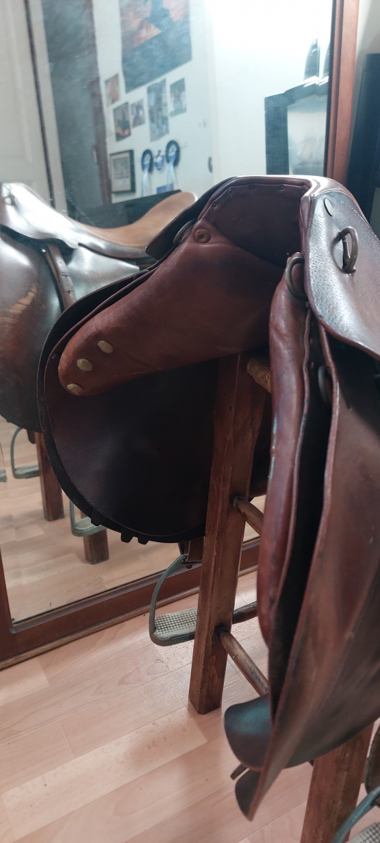 Selle Forestier Segonzac (2001) occasion