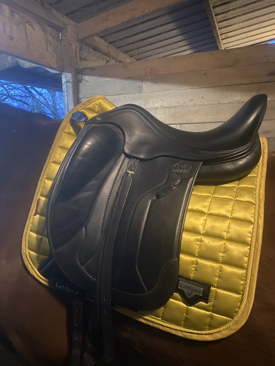 Selle de dressage Éric Thomas occasion