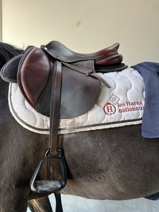 Selle obstacle CWD 17 pouces (2020) occasion