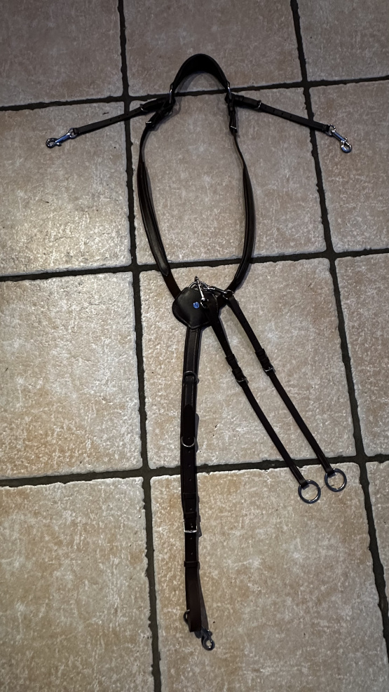 Collier de chasse et anneaux de martingale Norton occasion