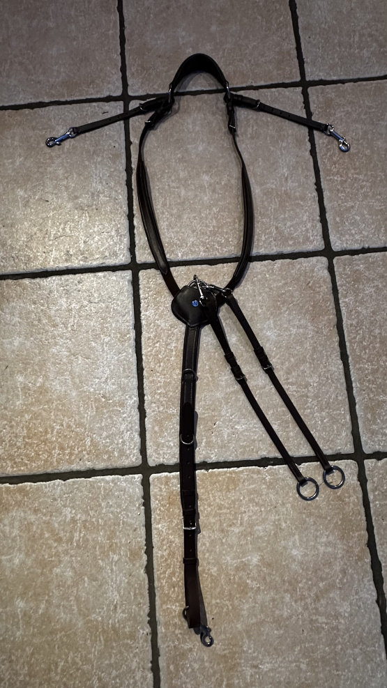 collier de chasse et anneaux de martingale Norton occasion