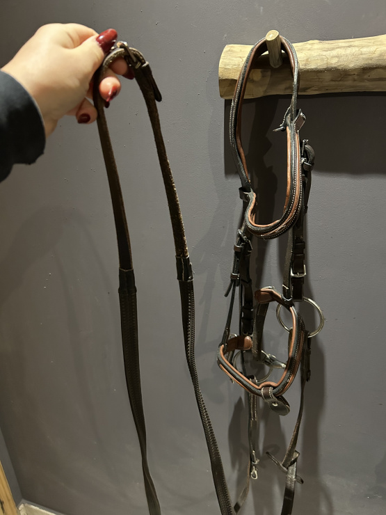 Filet Fouganza (poney) occasion