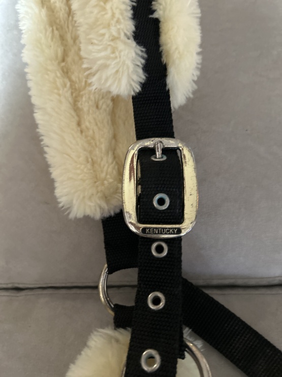 Licol Kentuky (cheval) occasion