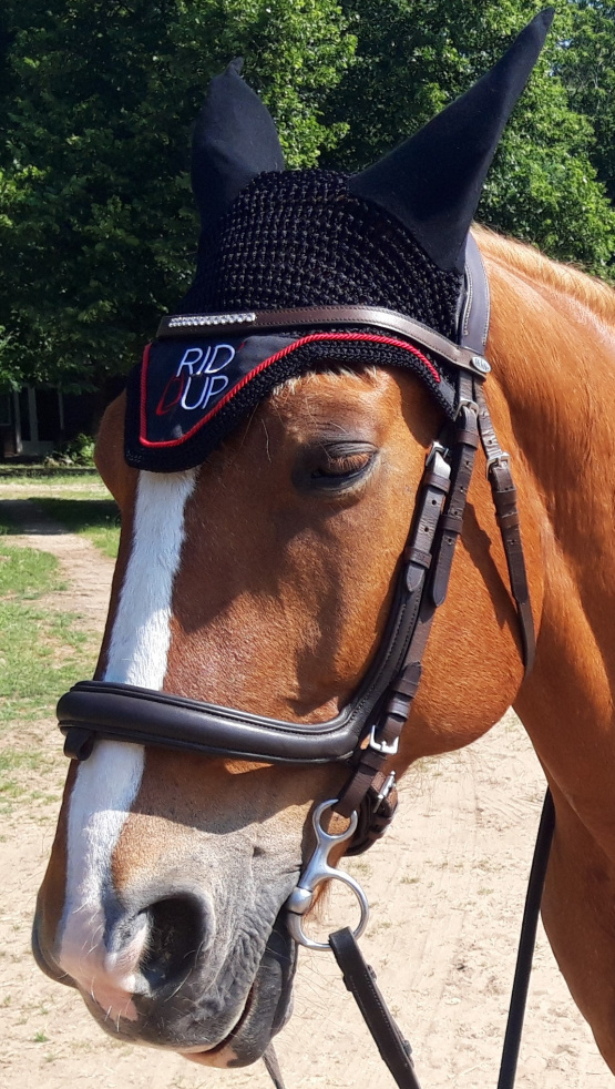 Filet anatomique Felix Bühler cuir (cheval) occasion