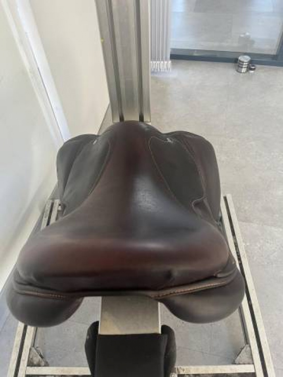 Selle obstacle Antares Connexion 17 pouces (2023) occasion