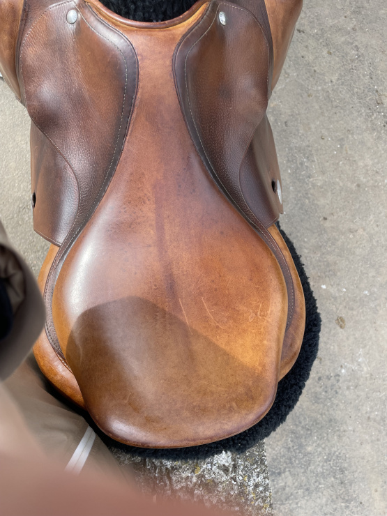 Selle obstacle Meyer 17,5 pouces (2013) occasion