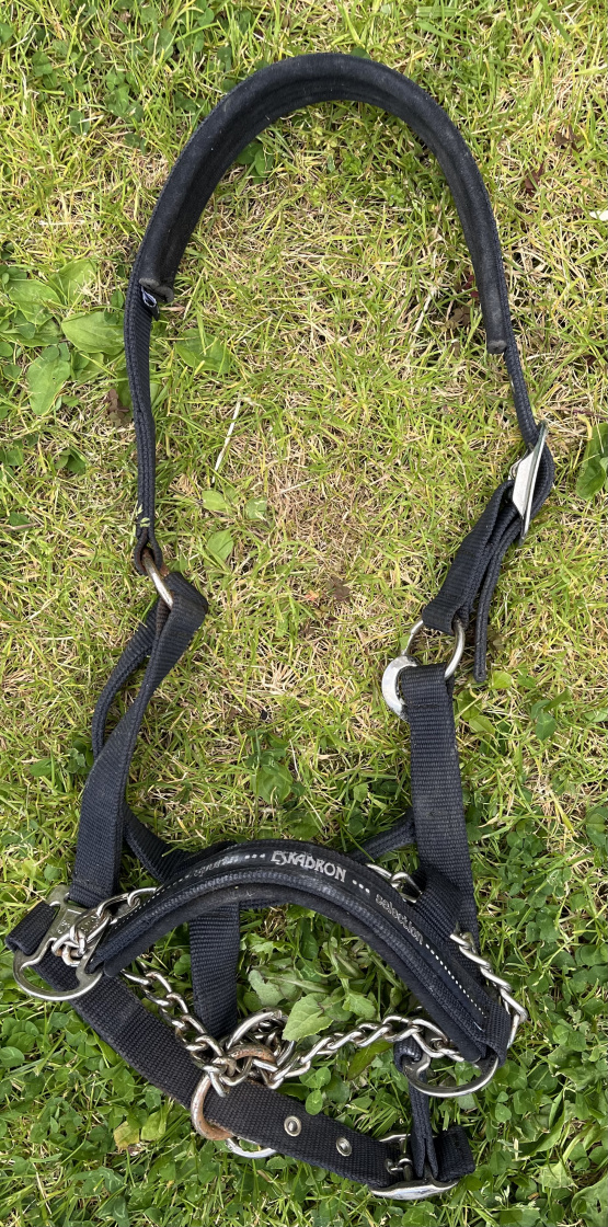 Licol de contrôle Eskadron (cheval) occasion