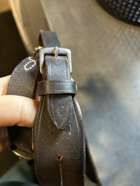 Collier de chasse + martinguale Fouganza (poney) occasion