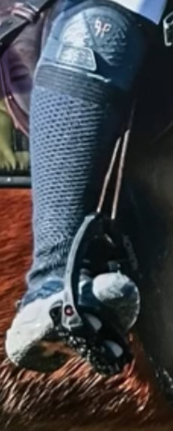 Bottes équitation  Horse pilot Teknit (39) occasion