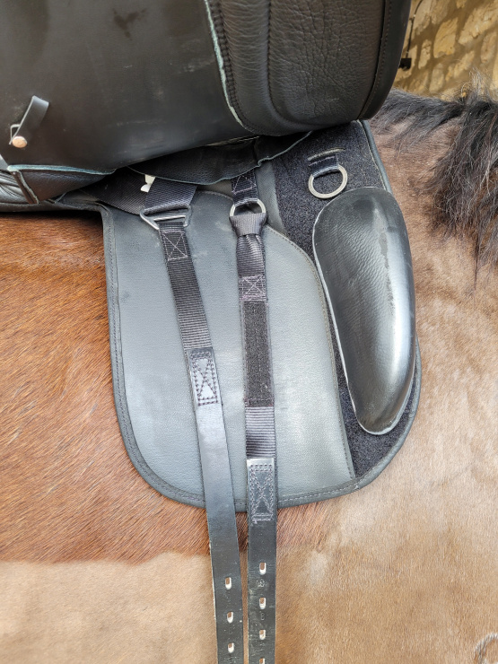 Selle dressage Thorowgood T8 occasion