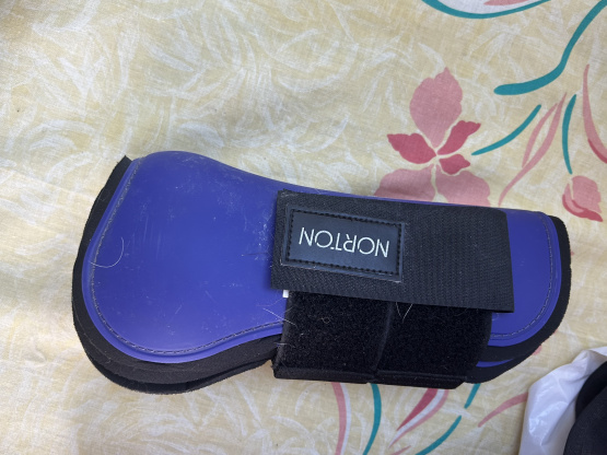 Guêtres Norton violet (cheval) occasion