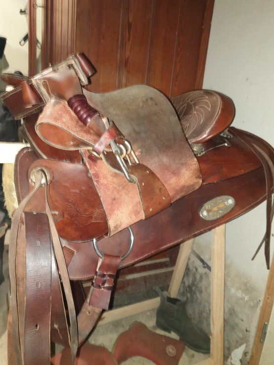 Selle Western 17,5 pouces (2021) occasion