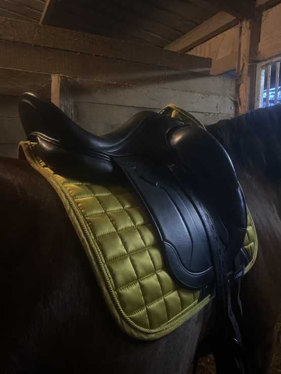 Selle de dressage Éric Thomas occasion